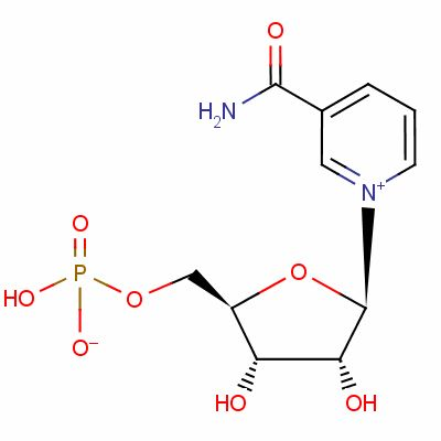 酶工业领军人物王骏教授：与世俱进维生素